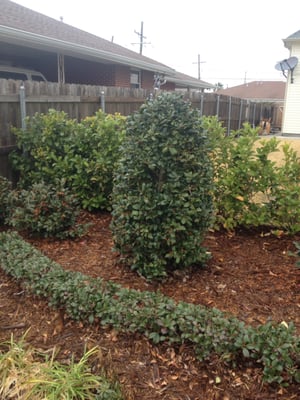 Sean's Landscaping by null