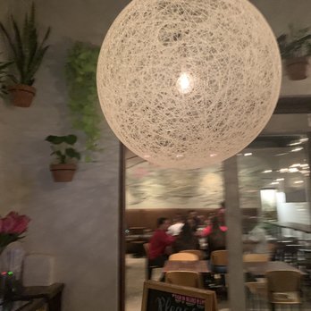DOMU - Ramen Near Me - Orlando, Florida DOMU - Ramen Near Me - Orlando, Florida