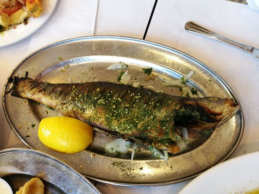 Poissonnerie & Restaurant Rayan by null