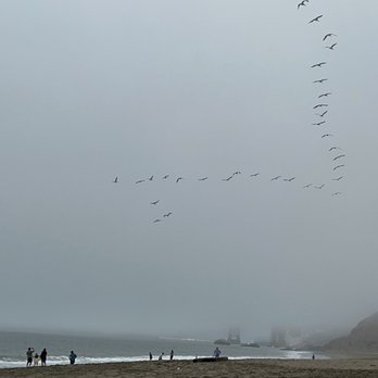 Fort Baker - Birds! Hee - Parks Near Me - Sausalito, California