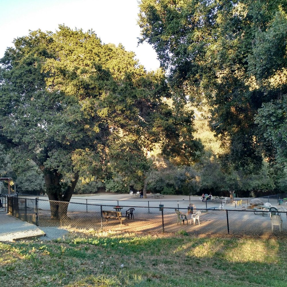 Earl Warren Park - Overview of the dog park. - Parks Near Me - Castro Valley, California Earl Warren Park - Overview of the dog park. - Parks Near Me - Castro Valley, California