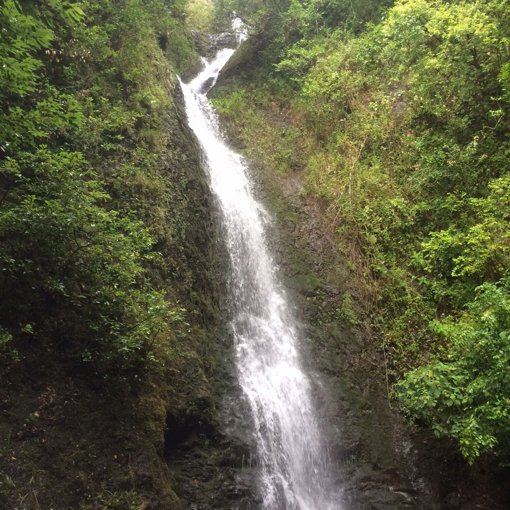 Lulumahu Falls - Hiking Near Me - Honolulu, Hawaii Lulumahu Falls - Hiking Near Me - Honolulu, Hawaii