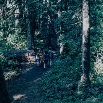 Toketee Falls - Landmarks & Historical Buildings Near Me