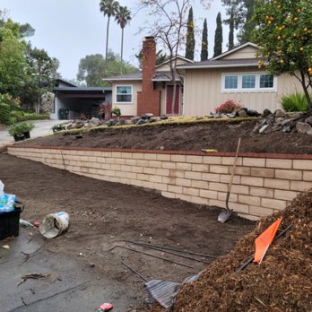 Succulents Forever - Ive removed and retaining wall built - Landscape Architects or Designers Near Me Succulents Forever - Ive removed and retaining wall built - Landscape Architects or Designers Near Me