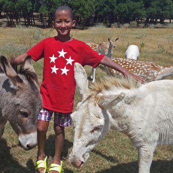 Crystal Challenges - Fun Summer Class Trips! - Child Care & Day Care Near Me - Cedar Park, Texas
