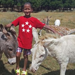 Crystal Challenges - Fun Summer Class Trips!