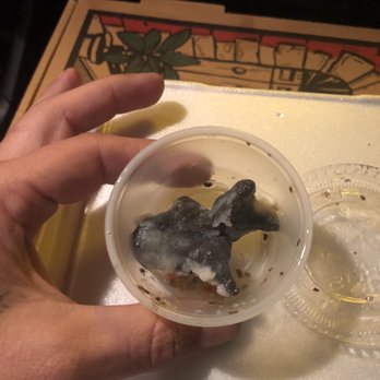 Apollo Pizza - Mold in potatoes salad! - Pizza Near Me - Apollo Beach, Florida