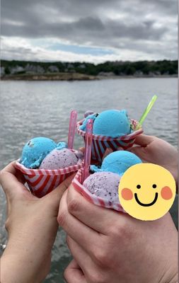 Robin's Nest by null