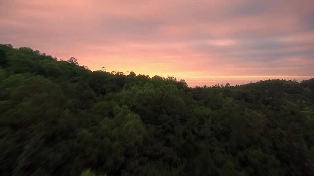 Total Wellness Mental Health Services - grief counselor in Virginia Beach, VA