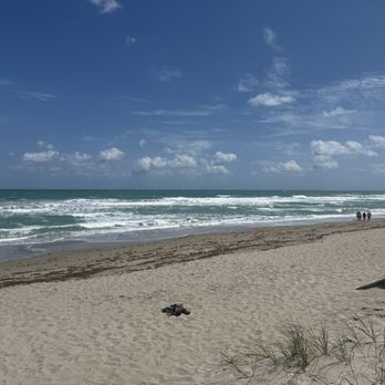 Shuckers - The gorgeous weather is a nice treat. - Seafood Near Me - Jensen Beach, Florida