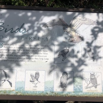 Big Cypress Bend Boardwalk - Parks Near Me - Naples, Florida