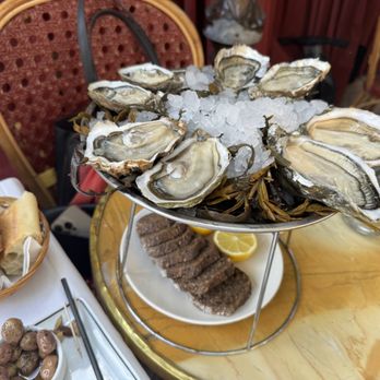 Le Dôme - Selection unbeatable, flavors fresh. - Seafood Near Me - Paris, 75