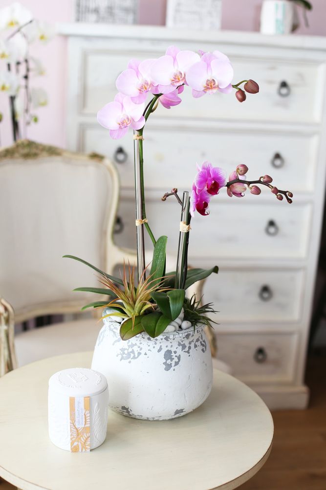 FLORAL BOTTEGA Request Information 69 Photos 2447 Pacific Coast