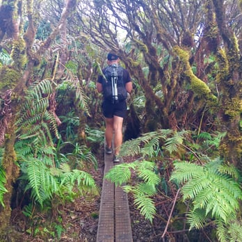 Mt Ka'ala Trail - Hiking Near Me - Waianae, Hawaii