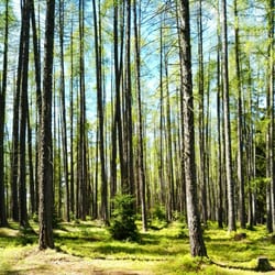 Hádek Hájovna