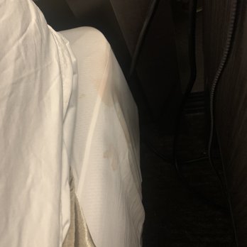 Best Western Plus Executive Residency Jackson Northeast - Stained bedding - Hotels Near Me - Jackson, Tennessee