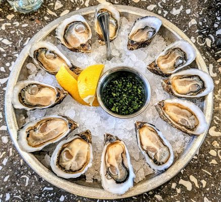 Hog Island Oyster Co by null