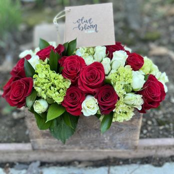 The Olive Bloom Floral - Delivered flowers - Florists Near Me The Olive Bloom Floral - Delivered flowers - Florists Near Me