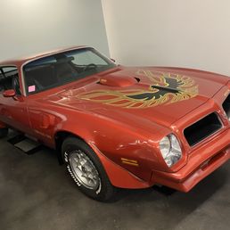 Red Bandit Red Bandit
