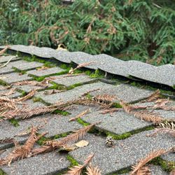 Infinite Roofing Solutions - Shingle roof with moss growth and fallen branches