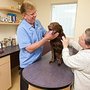 Photo of Centennial Animal Hospital