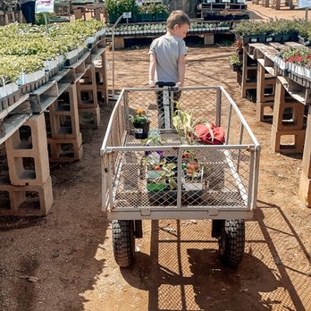 Barryhill Garden Center - Nurseries & Gardening Near Me - Leander, Texas Barryhill Garden Center - Nurseries & Gardening Near Me - Leander, Texas