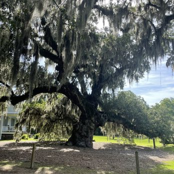 McLeod Plantation Historic Site - Landmarks & Historical Buildings Near Me - Charleston, South Carolina McLeod Plantation Historic Site - Landmarks & Historical Buildings Near Me - Charleston, South Carolina