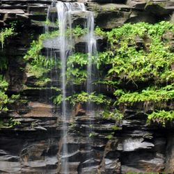 Christman Sanctuary