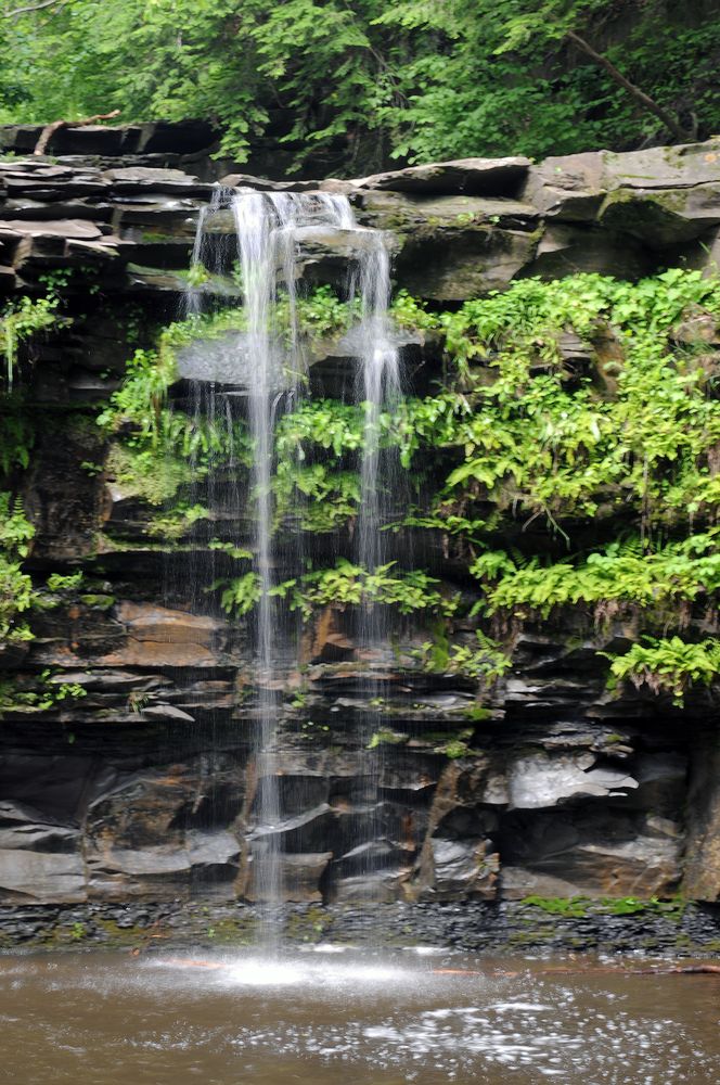 CHRISTMAN SANCTUARY Updated August 2024 33 Photos 3281 Schoharie