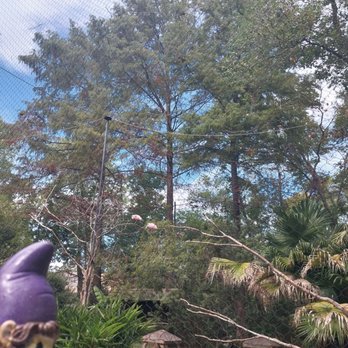 Baton Rouge Zoo - Zoos Near Me - Baton Rouge, Louisiana