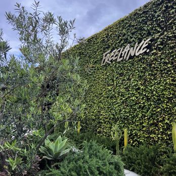 Freelance Coffee Project - Coffee & Tea Near Me - Newport Beach, California Freelance Coffee Project - Coffee & Tea Near Me - Newport Beach, California