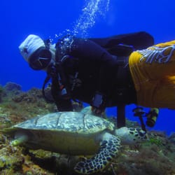 The Scuba Dudes Diveshop - Do or Dive, Dude