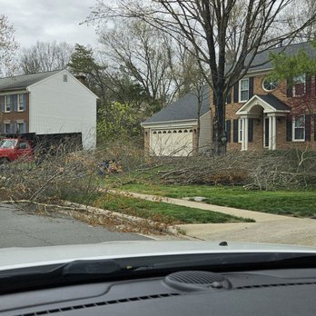 Ventura Landscaping - Branches brought to the front for chipping - Tree Services Near Me