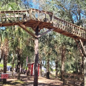 Santas Christmas Trees Forest - Christmas Trees Near Me - Eustis, Florida Santas Christmas Trees Forest - Christmas Trees Near Me - Eustis, Florida