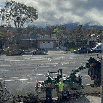 Roberto's Tree Services - Thank you Roberto, Jorge & your crew!' - Tree Services Near Me Roberto's Tree Services - Thank you Roberto, Jorge & your crew!' - Tree Services Near Me