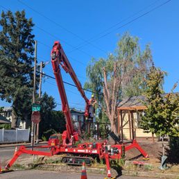 A spider crane used to help an arborist take down a dead tree. A spider crane used to help an arborist take down a dead tree.