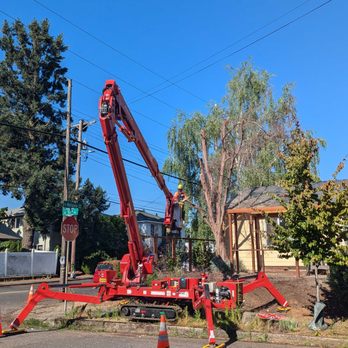Samsara Tree Care - A spider crane used to help an arborist take down a dead tree. - Tree Services Near Me - Portland, Oregon Samsara Tree Care - A spider crane used to help an arborist take down a dead tree. - Tree Services Near Me - Portland, Oregon