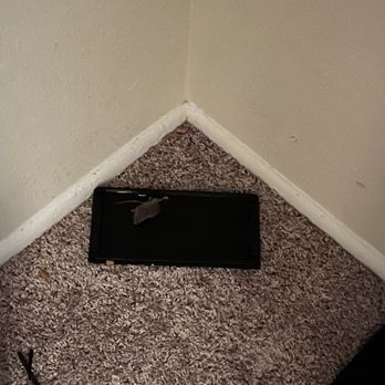 Avery Park Apartment Homes - Mouse in closet - Apartments Near Me - Silver Spring, Maryland Avery Park Apartment Homes - Mouse in closet - Apartments Near Me - Silver Spring, Maryland