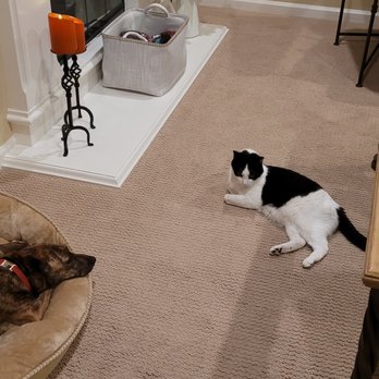 A Better Chance Rescue - Pet Adoption Near Me A Better Chance Rescue - Pet Adoption Near Me