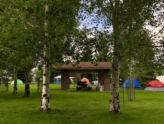 Bear Canyon Campground by null