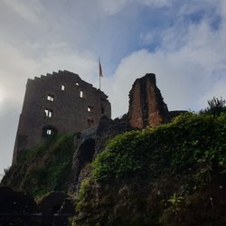 Burgruine Hohengeroldseck - Blick vom Innenhof