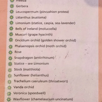 French Florist - No Eucalyptus on this list. Why? because it can kill cats. - Florists Near Me - Los Angeles, California French Florist - No Eucalyptus on this list. Why? because it can kill cats. - Florists Near Me - Los Angeles, California