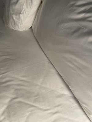 The Doyle Hotel by null