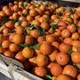 Photo of Al Haramain International Foods