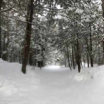 Diana's Baths - Landmarks & Historical Buildings Near Me - Bartlett, New Hampshire