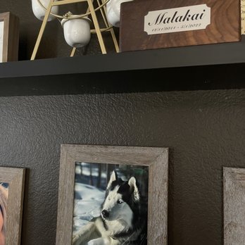 Heaven's Gate Pet Memorial Center - Pet Cremation Services Near Me - Wheatland, California Heaven's Gate Pet Memorial Center - Pet Cremation Services Near Me - Wheatland, California