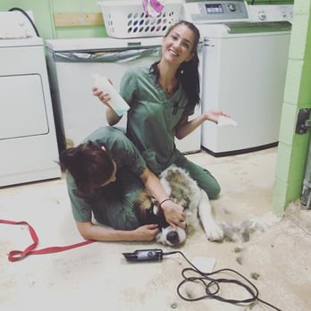 Sarasota Veterinary Center - Non registered Vet Tech (photographed) - the level of professionalism is non existent in this center - Veterinarians Near Me - Sarasota, Florida