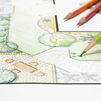 Top Notch Tree Care - a person drawing a garden - Landscaping Near Me - Simi Valley, California Top Notch Tree Care - a person drawing a garden - Landscaping Near Me - Simi Valley, California