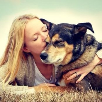 Treasured Friend - P3 - Pet Cremation Services Near Me - Abington, Pennsylvania Treasured Friend - P3 - Pet Cremation Services Near Me - Abington, Pennsylvania