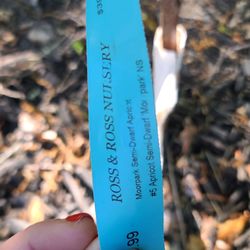 Ross & Ross Nursery